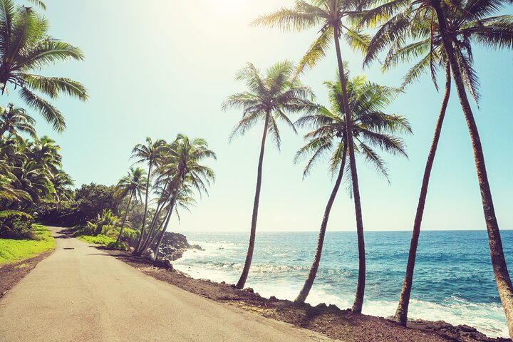 Hire Photographer. Professional Photo Shoot - Island Of Hawaii - Photo 1 of 19